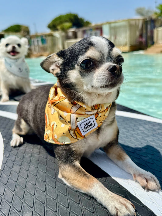 JOTDOG MAMUT BANANA
