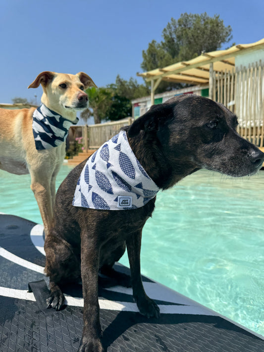 JOTDOG BALLENA MIX PEZKAO