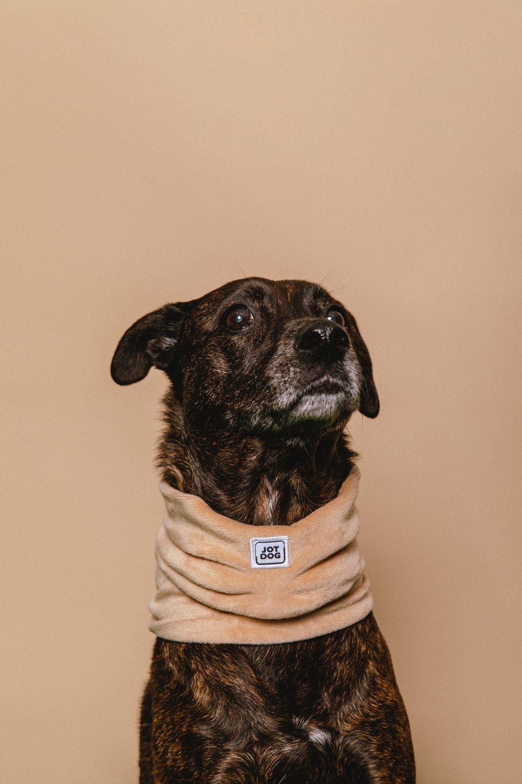 JotDog Java